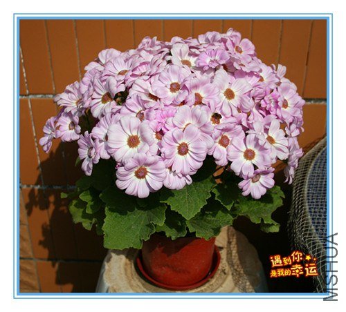 ��Ƭ 001_����.jpg