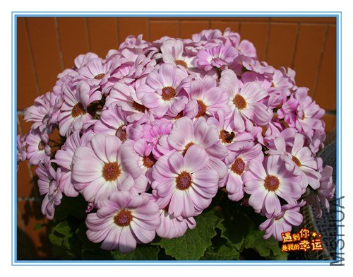 ��Ƭ 002_����.jpg