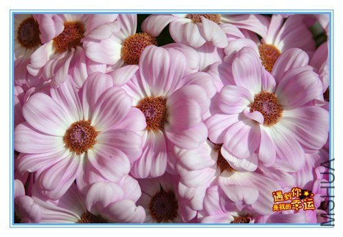 ��Ƭ 003_����.jpg