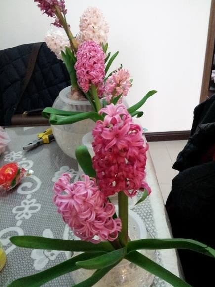20130309_121249.jpg