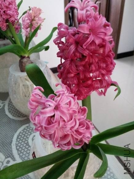 20130309_121306.jpg