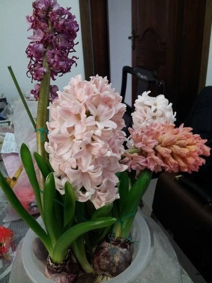 20130309_121341.jpg