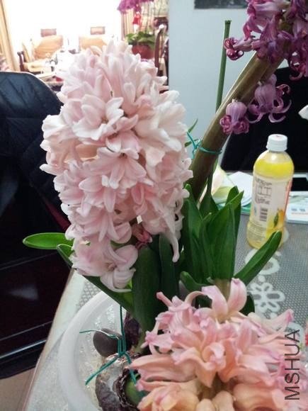 20130309_121355.jpg