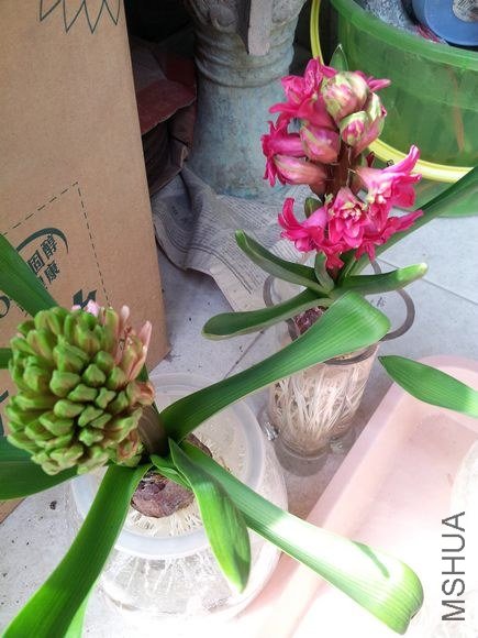 20130302_123704.jpg