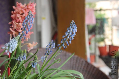 ���ѷ����� 045.jpg