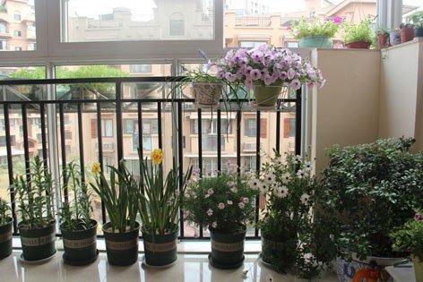 ���� 055.jpg