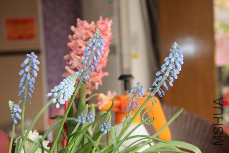 �Ϸ� �ͷ�����091.jpg