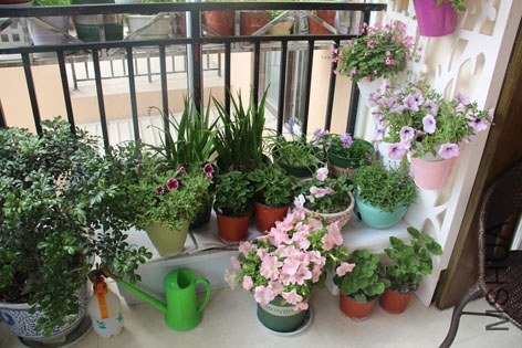 ���� 066.jpg