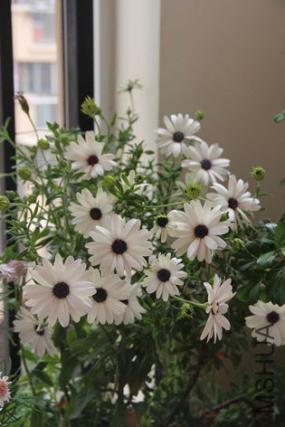 ��Ŀ�� 073.jpg