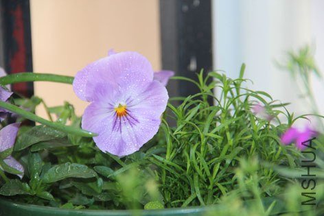 ���� 081.jpg