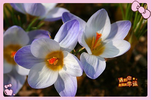 ��Ƭ 159_����.jpg