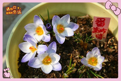 ��Ƭ 156_����.jpg