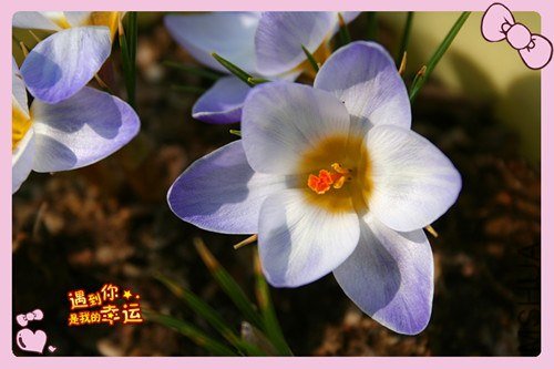 ��Ƭ 157_����.jpg