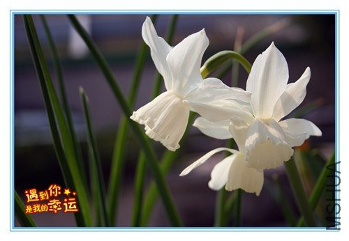 ��Ƭ 109_����.jpg