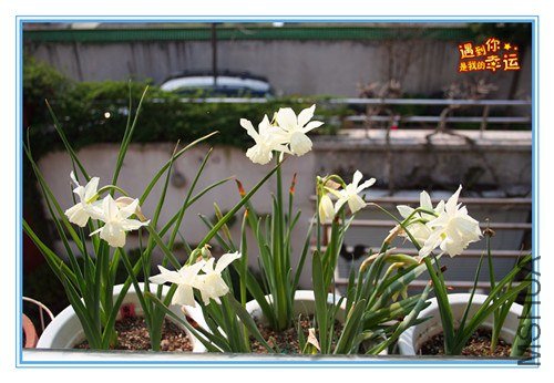 ��Ƭ 095_����.jpg