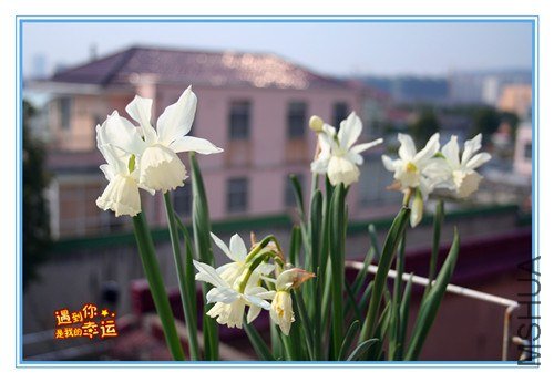 ��Ƭ 098_����.jpg