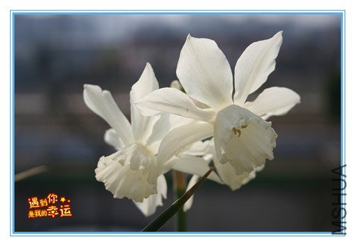 ��Ƭ 105_����.jpg