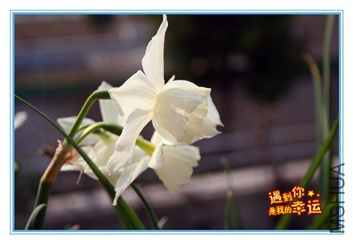 ��Ƭ 106_����.jpg