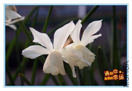 ��Ƭ 108_����.jpg