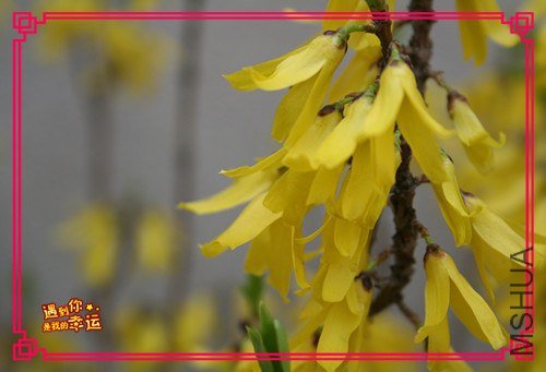 ��Ƭ 188_����.jpg