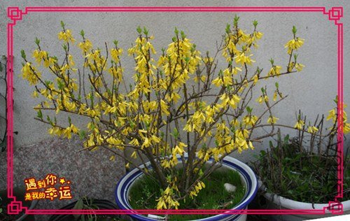 ��Ƭ 186_����.jpg