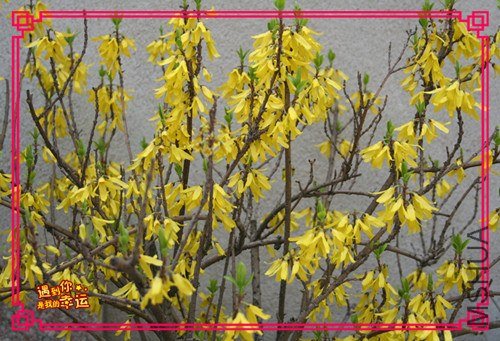 ��Ƭ 187_����.jpg