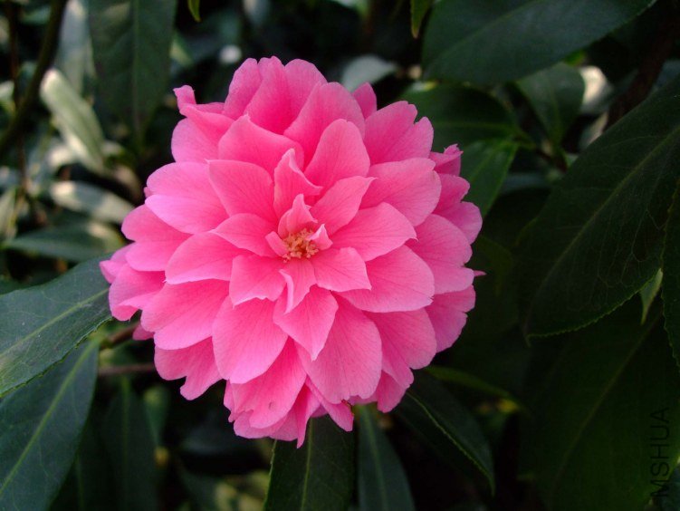 �۴��� 2013-3-12 158.jpg