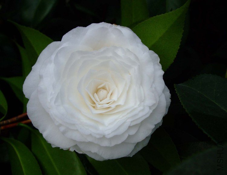ţ���� 2013-3-12 038.jpg
