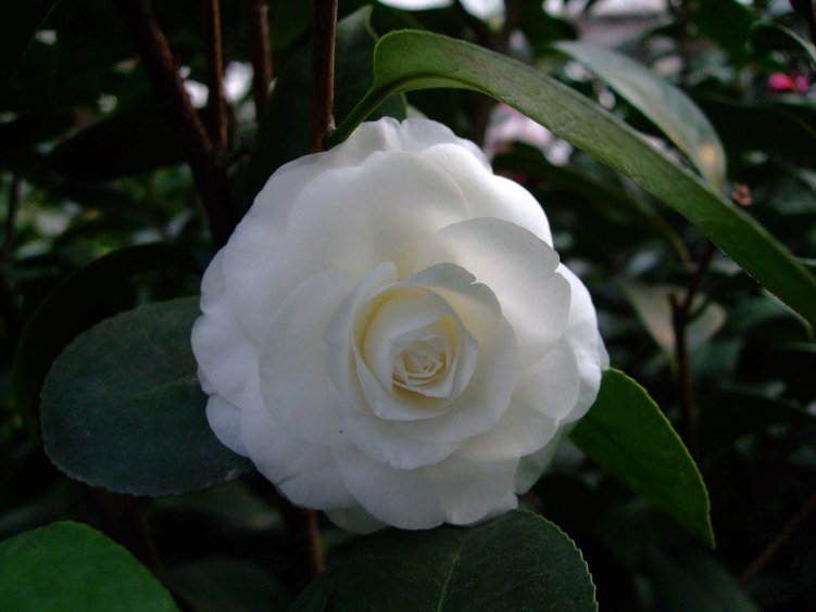 ţ���� 2013-3-12 117.jpg