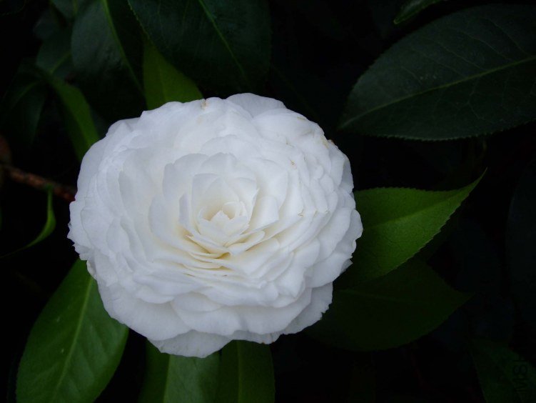 ţ���� 2013-3-12 122.jpg