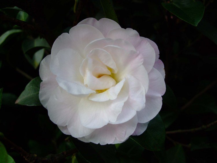 �����Ϲ� 2013-3-12 093.jpg