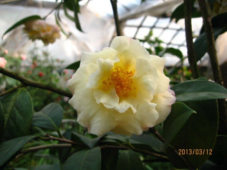 ������ 2013-3-12 133.jpg