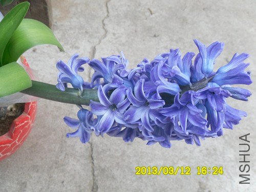 SDC10270_����.jpg