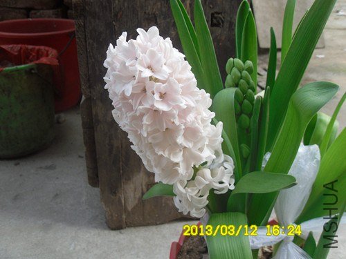 SDC10268_����.jpg