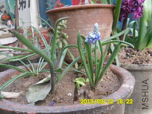 SDC10262_����.jpg