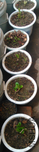QQ��ͼ20130312200316.png