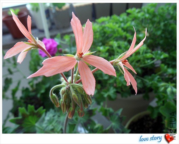 ��ʵ����ɫ