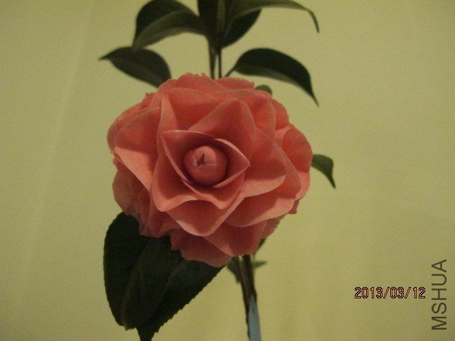 IMG_2250.JPG