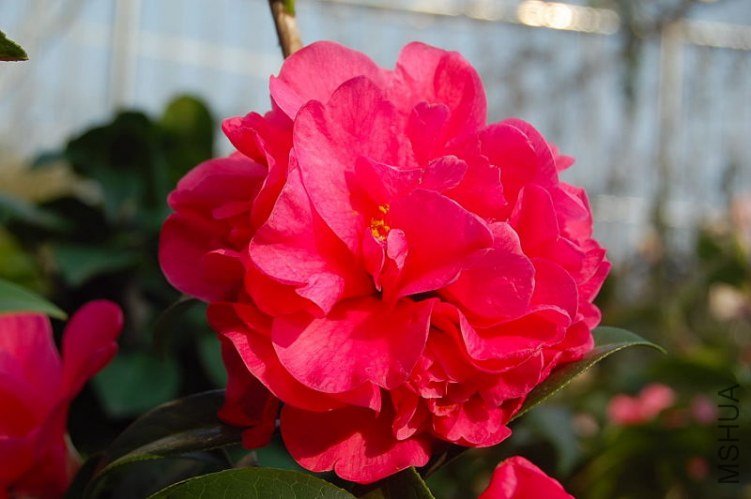 DSC_05080508.JPG