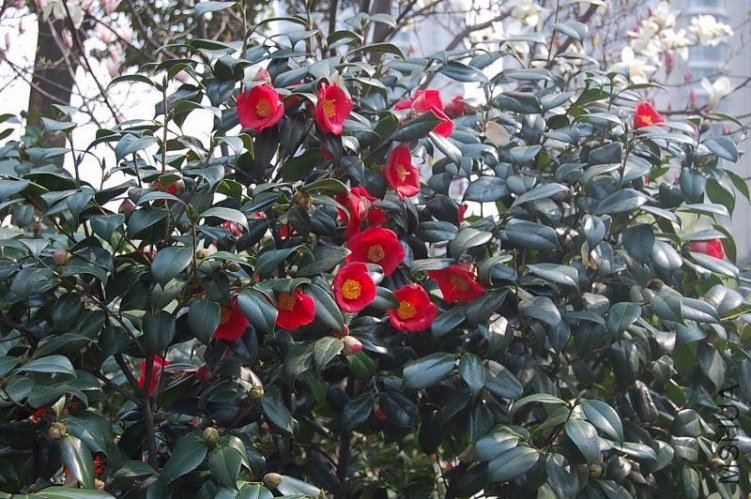 DSC_00300030.JPG
