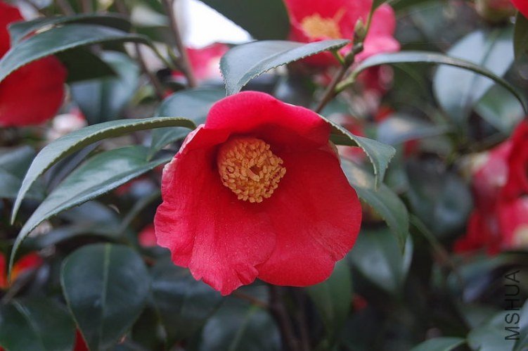 DSC_00370037.JPG