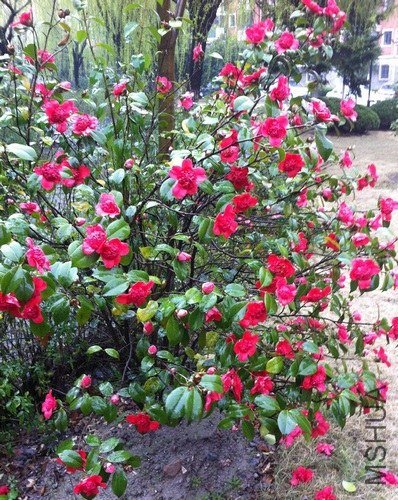 ��Ƭ 062.jpg