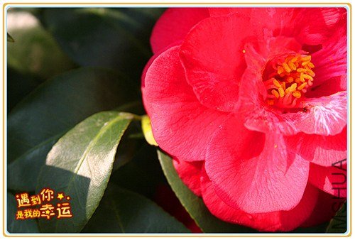 ��Ƭ 077_����.jpg