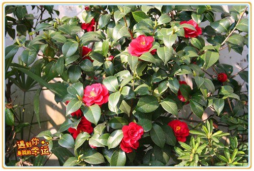 ��Ƭ 066_����.jpg