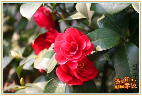 ��Ƭ 068_����.jpg