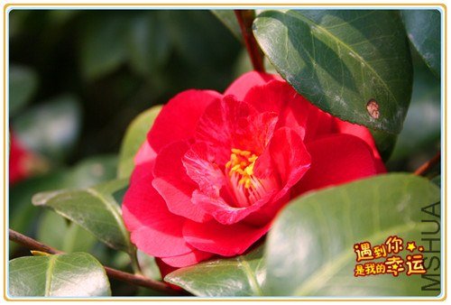 ��Ƭ 070_����.jpg