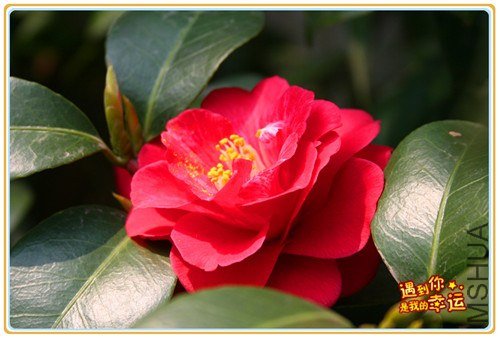 ��Ƭ 071_����.jpg