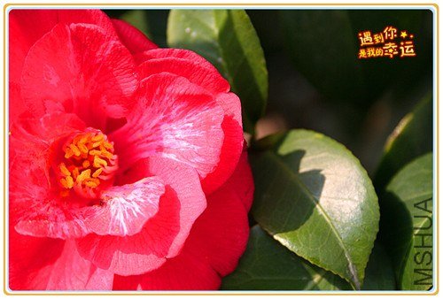 ��Ƭ 075_����.jpg