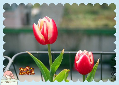 ��Ƭ 149_����.jpg