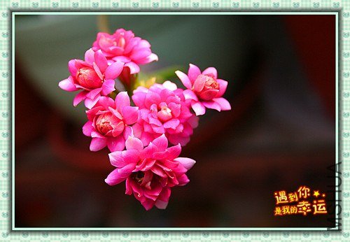 ��Ƭ 129_����.jpg